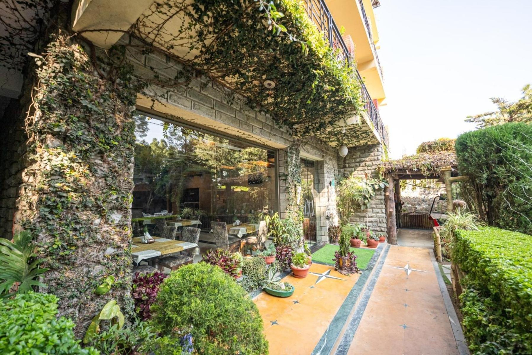 Kasauli Castle Resort Zewnętrze zdjęcie