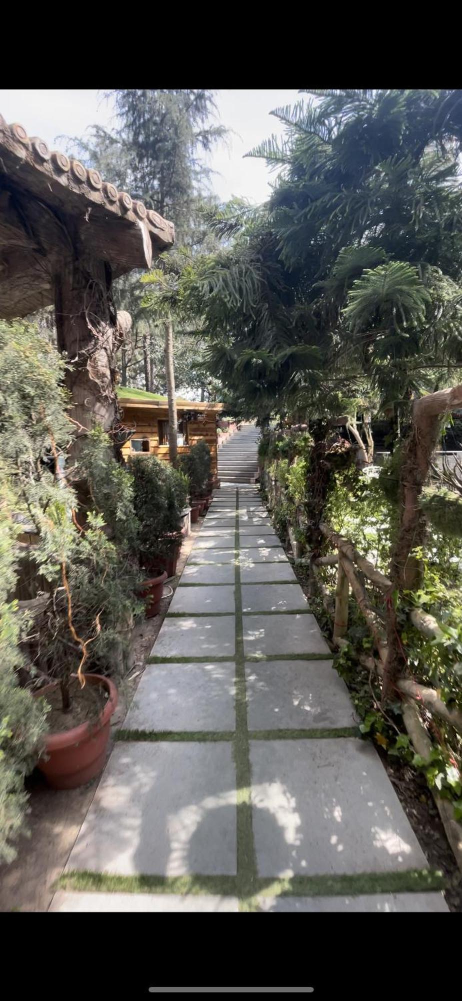 Kasauli Castle Resort Zewnętrze zdjęcie