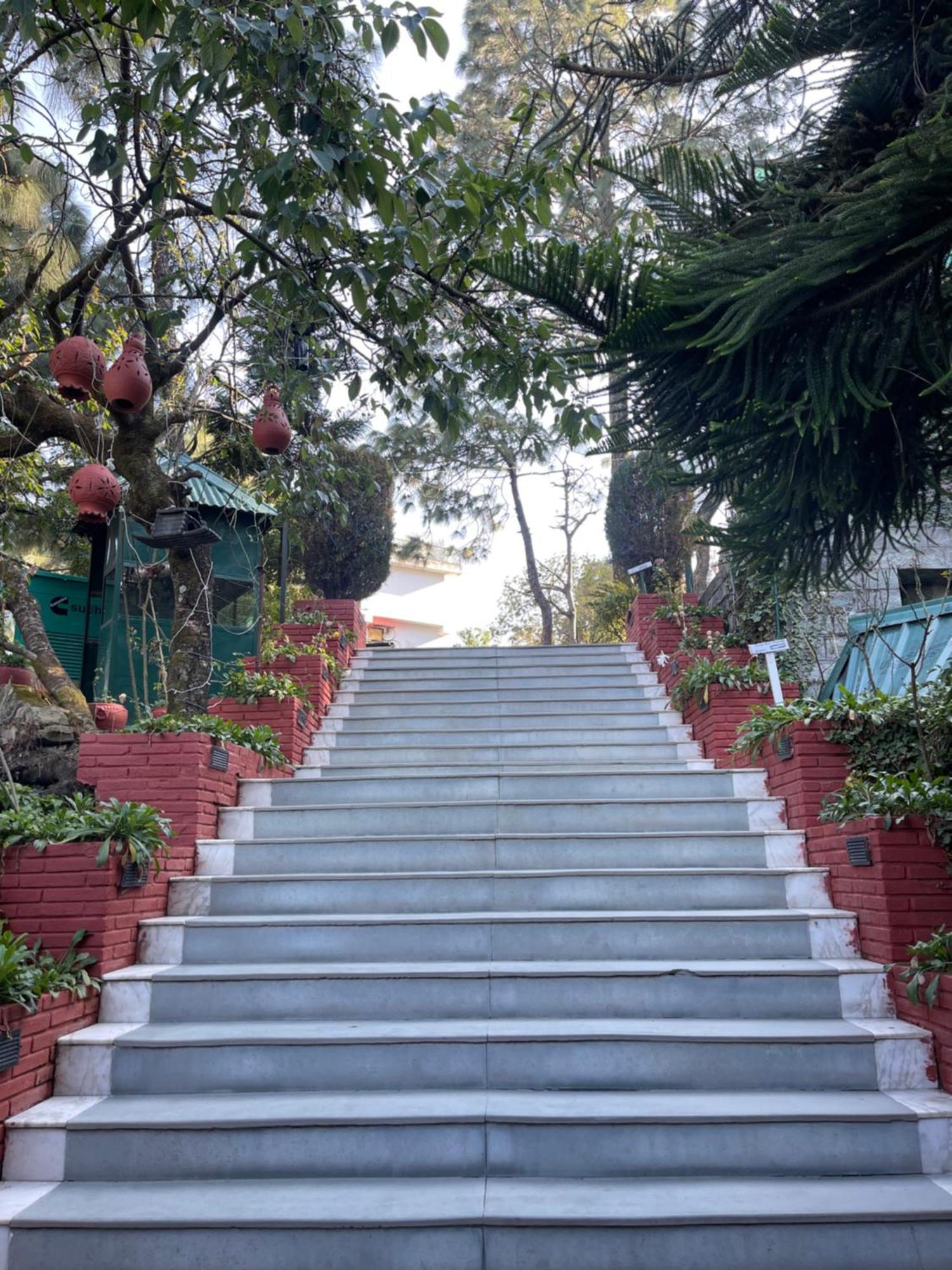 Kasauli Castle Resort Zewnętrze zdjęcie